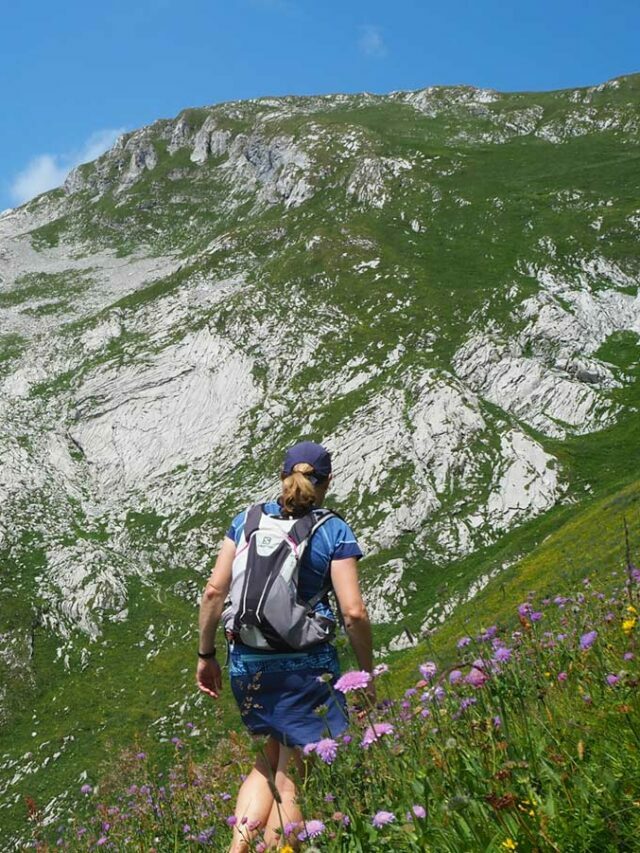 6 Ideas For Chatel Summer Hiking Story