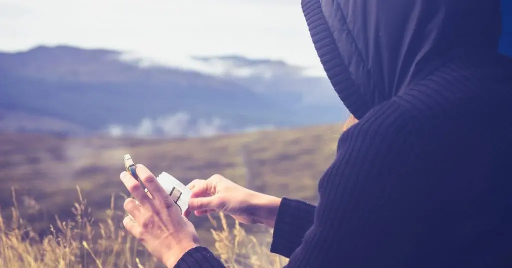 midges in scotland