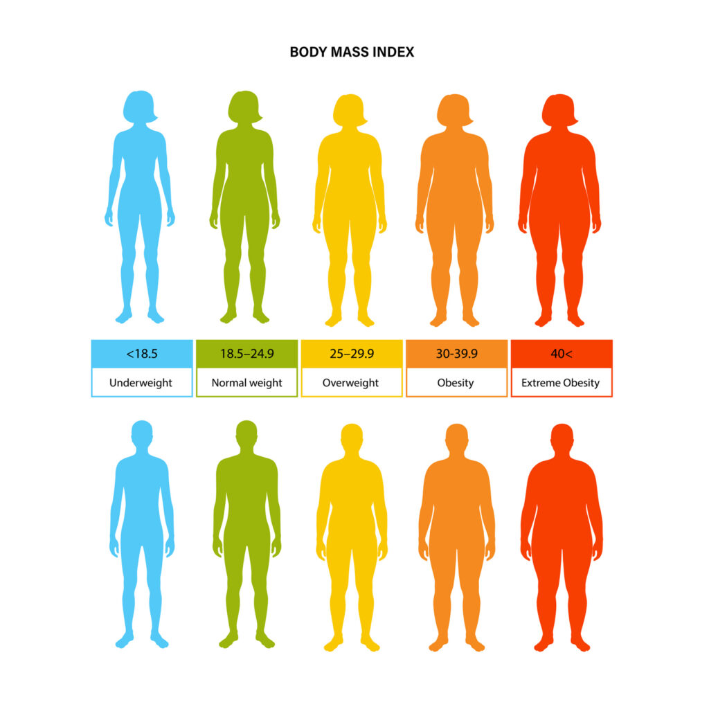 Body Mass Index Visual Image