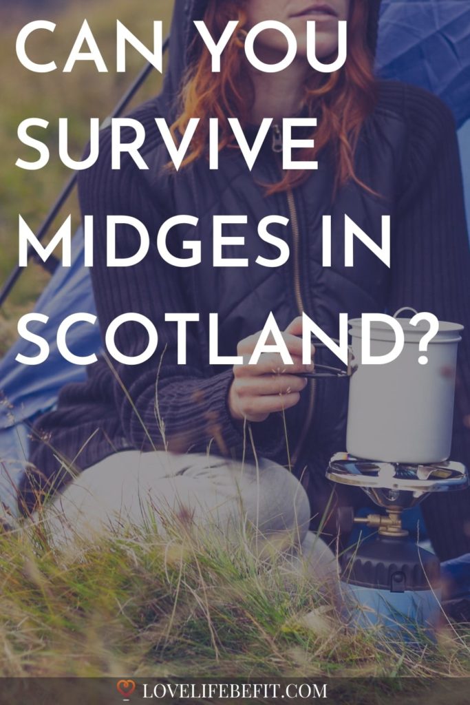 midges in scotland