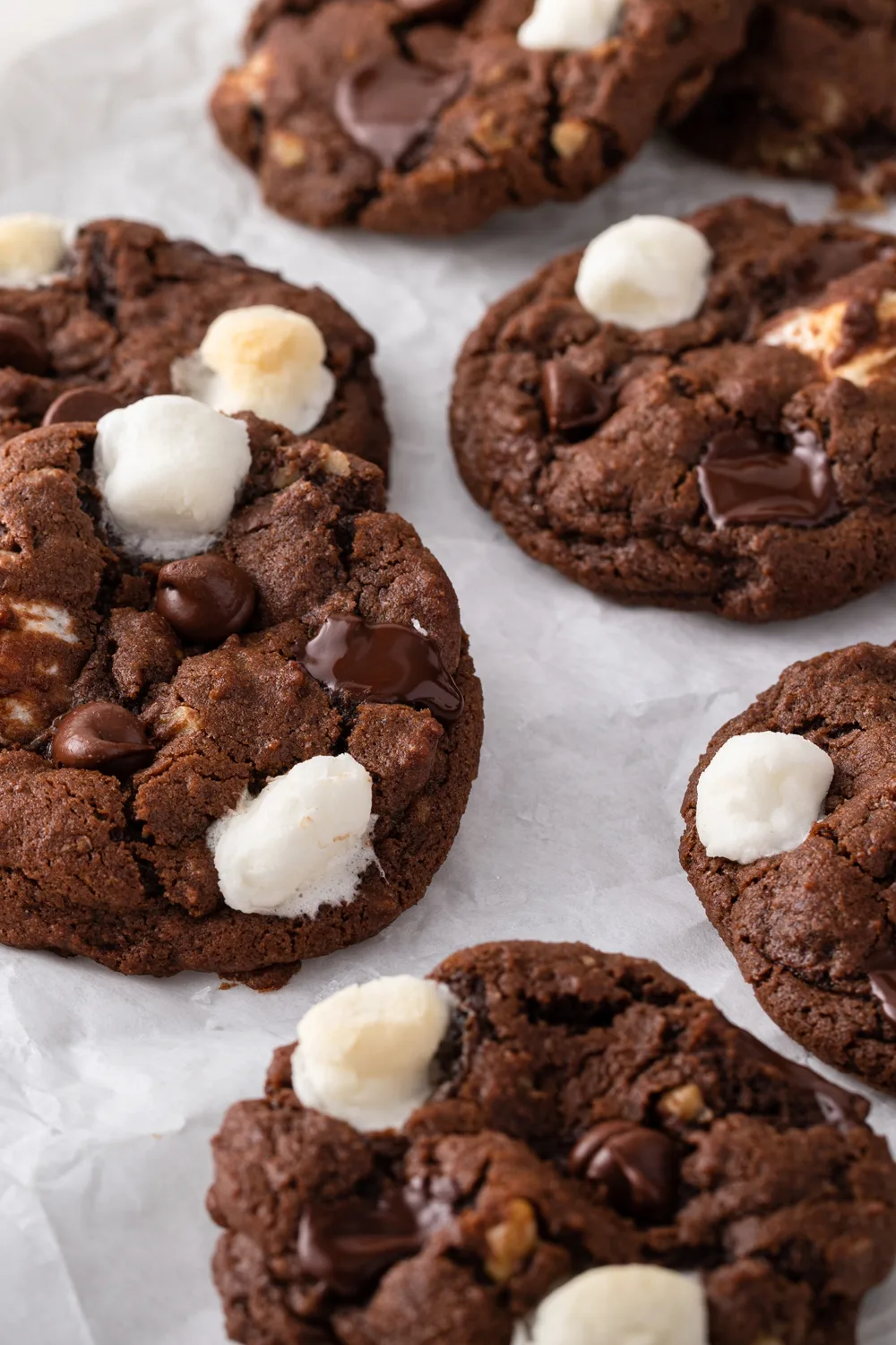 dairy-free chocolate cookies