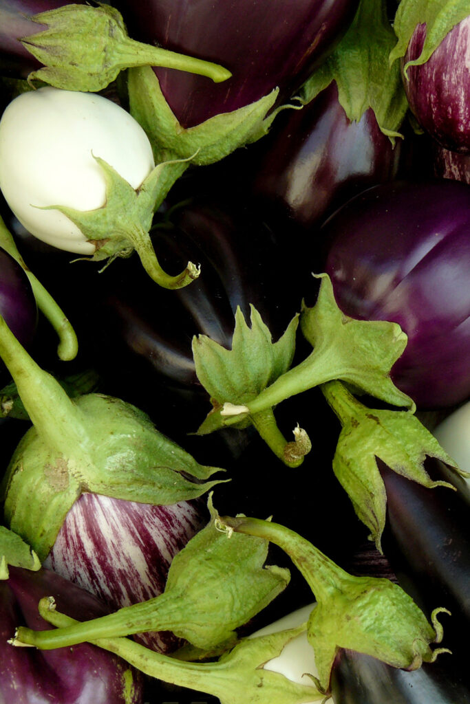 eggplants aubergines purple and white