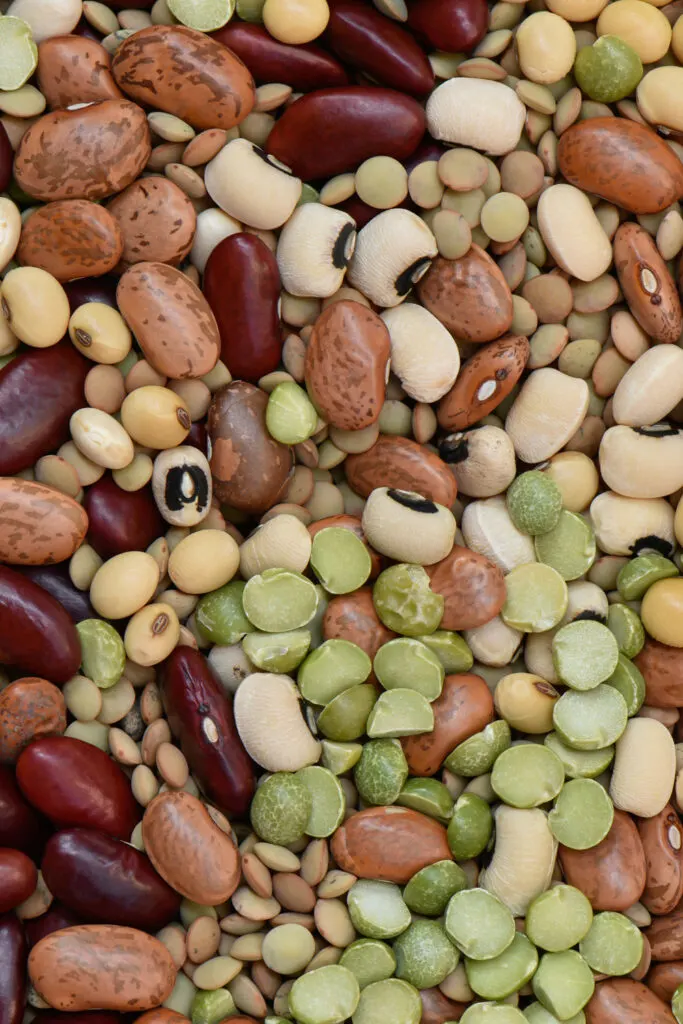 beans are a top vegan protein source
