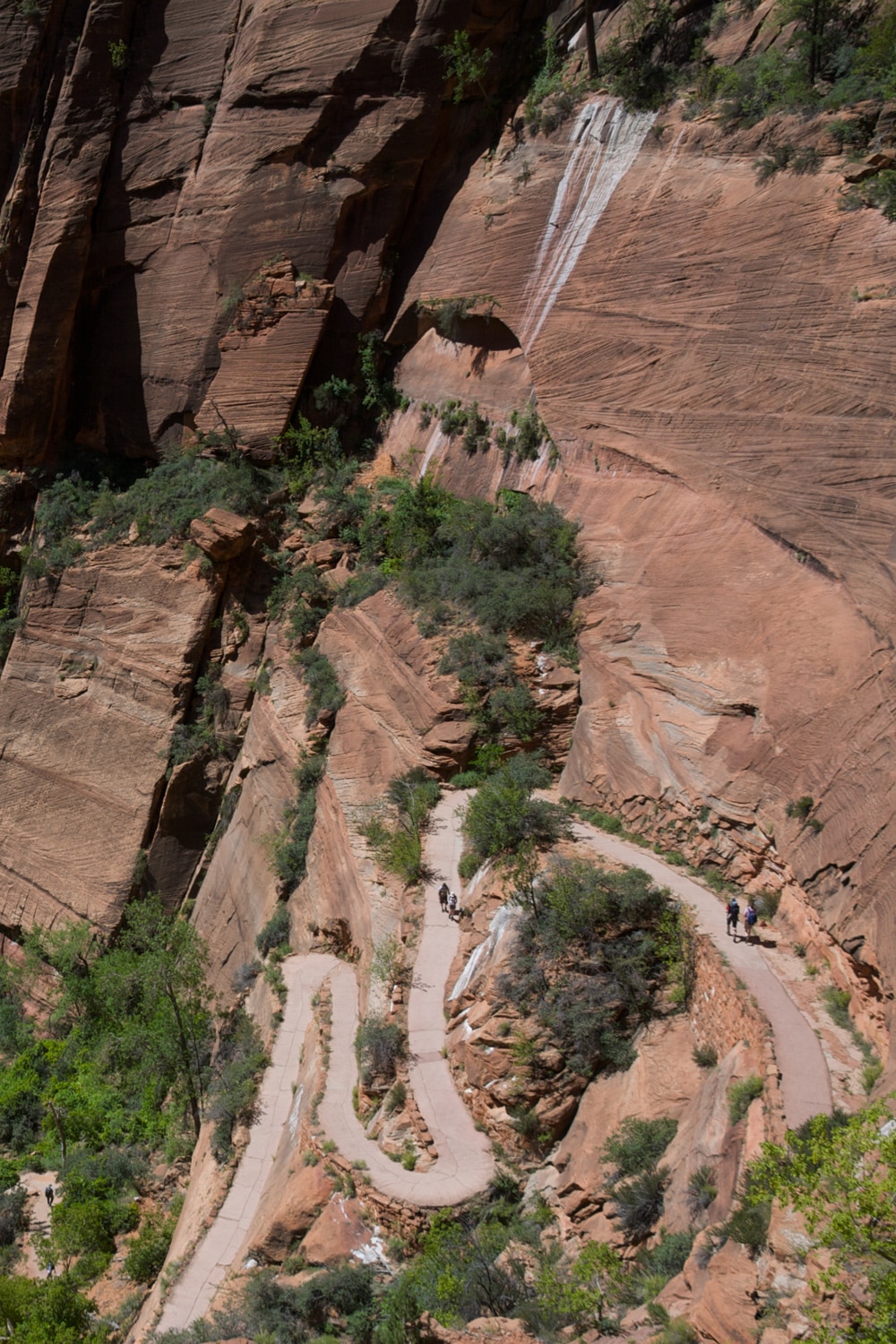 What Is A Switchback On A Hiking Trail? Love Life Be Fit