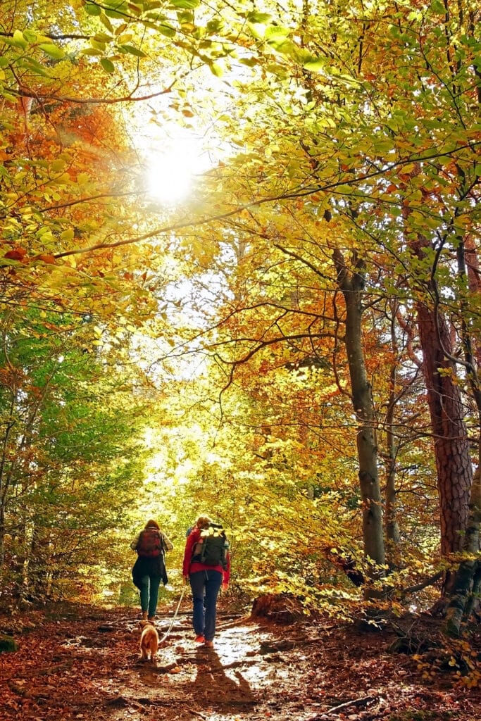 hiking in a natural environment