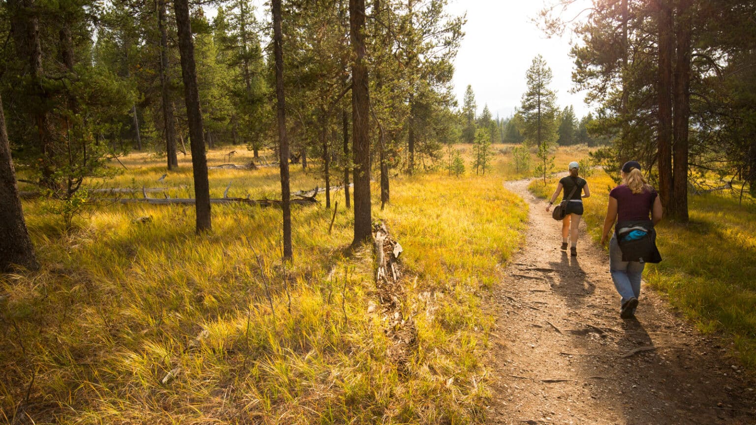 Can You Wear Jeans For Hiking? Love Life Be Fit