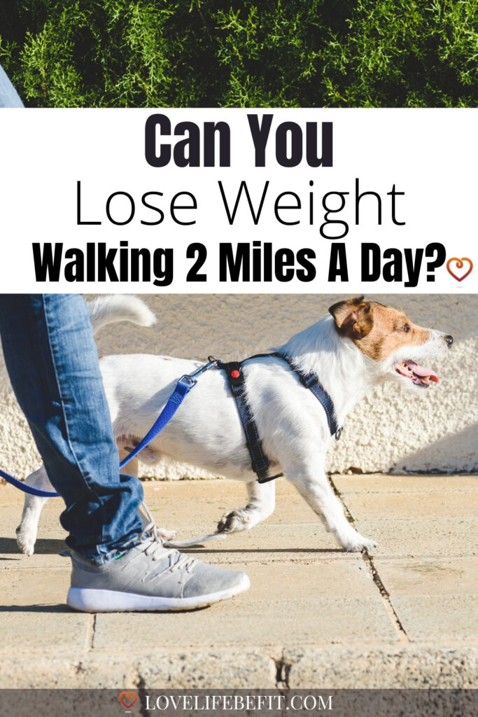 walk 2 miles a day