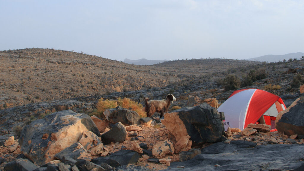 wild camping Oman