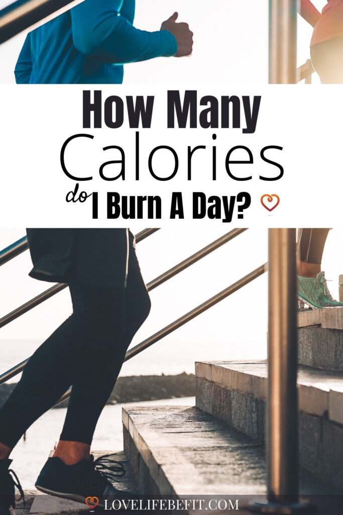 calories burned a day