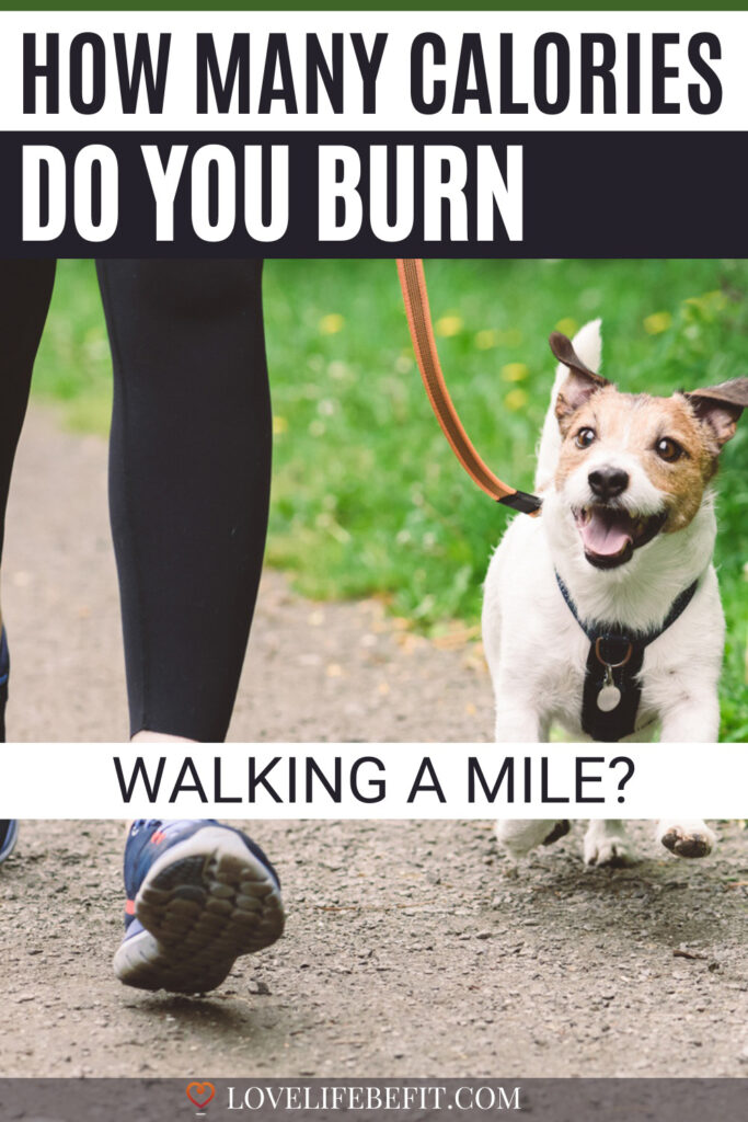 how many calories do you burn walking