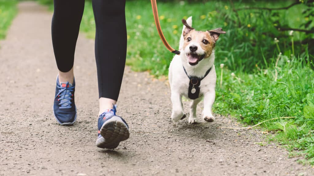 how many calories do you burn walking a mile?