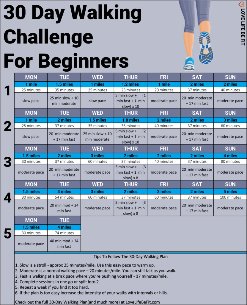 Free Printable 30 Day Walking Challenge for Beginners