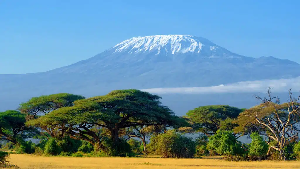 Kilimanjaro