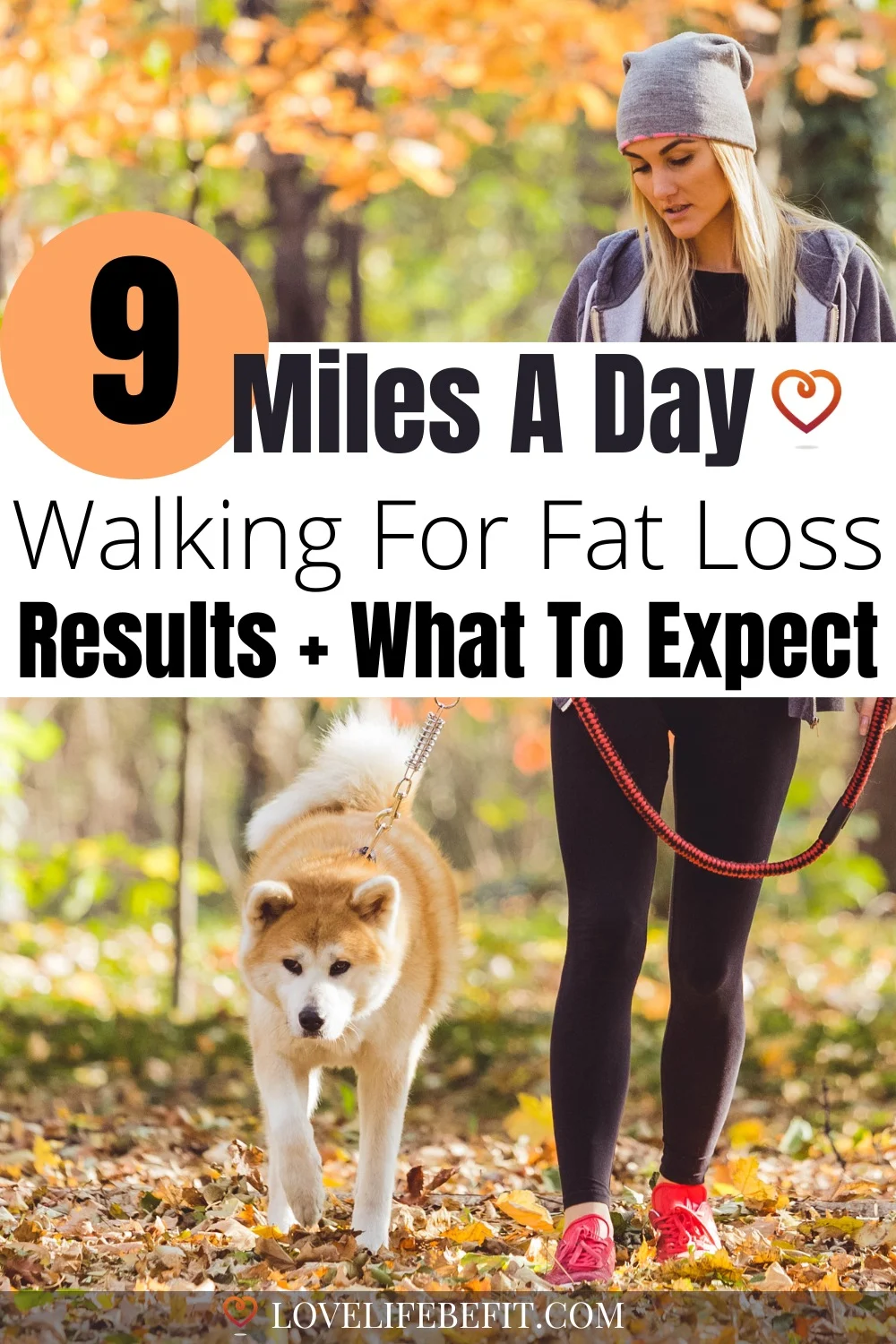 walking 9 miles a day