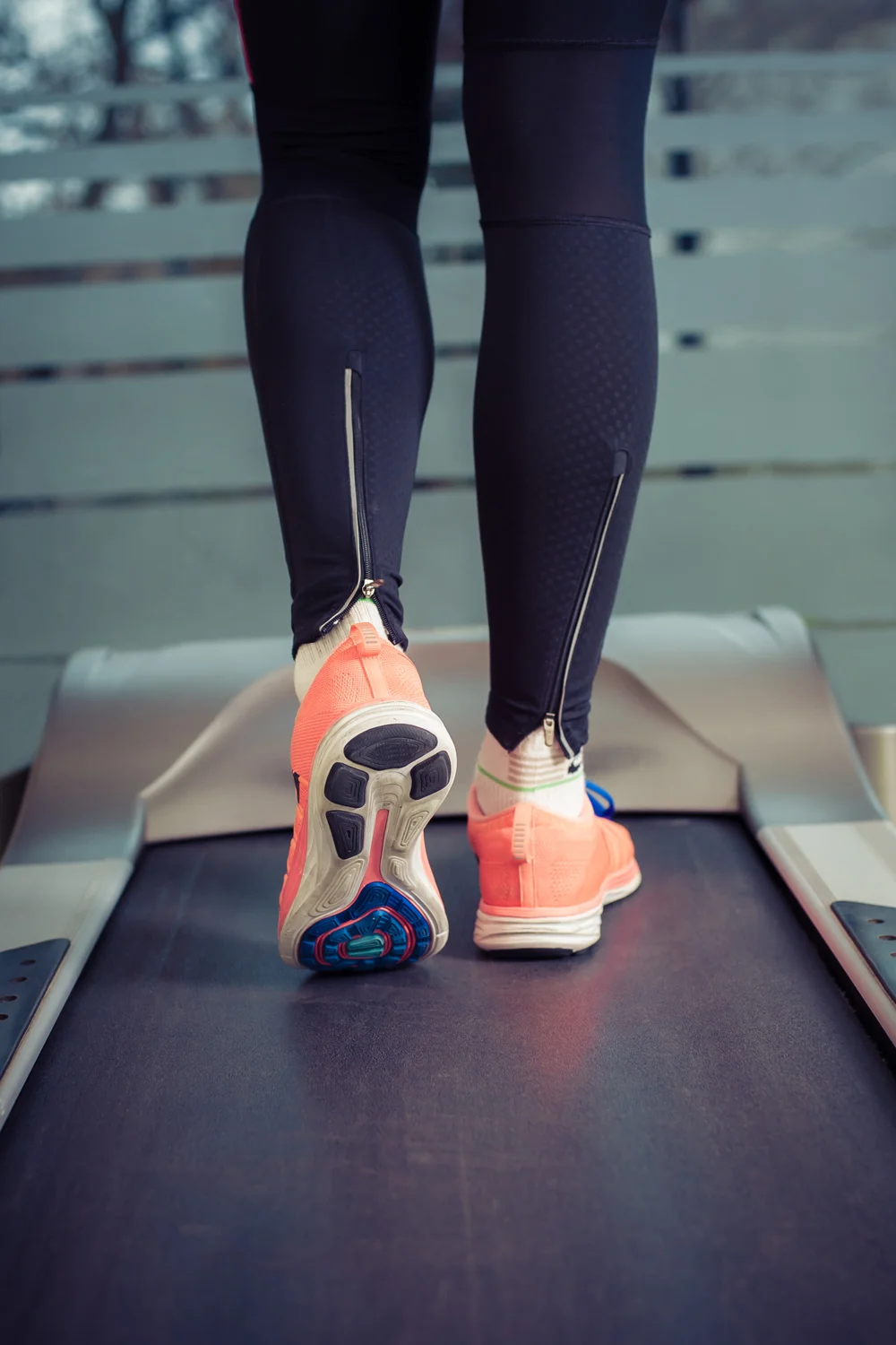 treadmill walking 6 miles a day
