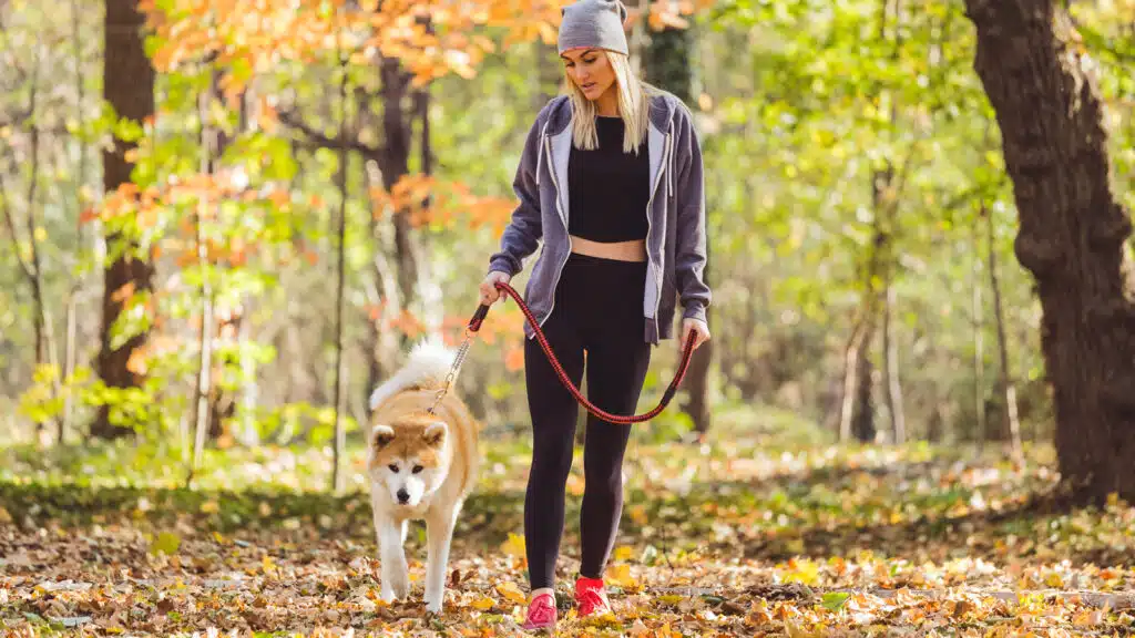 walking 9 miles a day