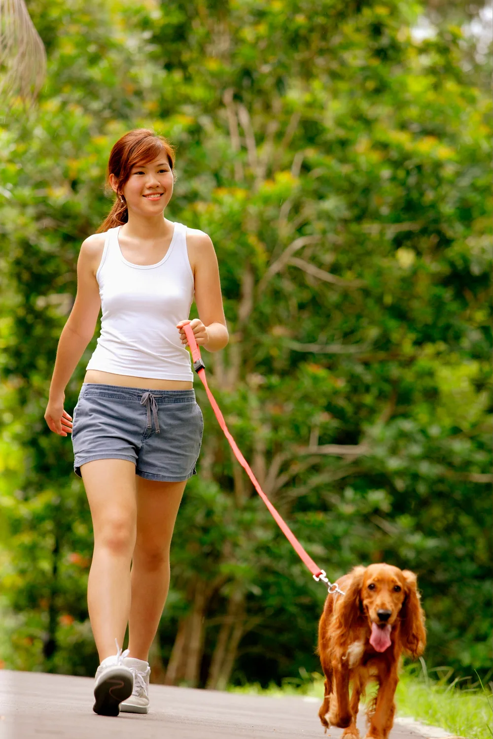 walking for fitness with your dog