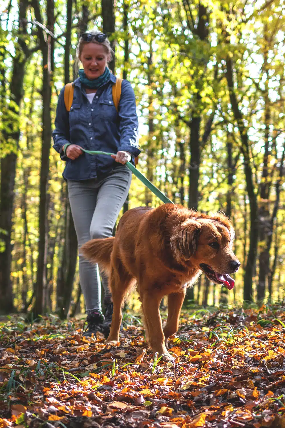 walking for weight loss