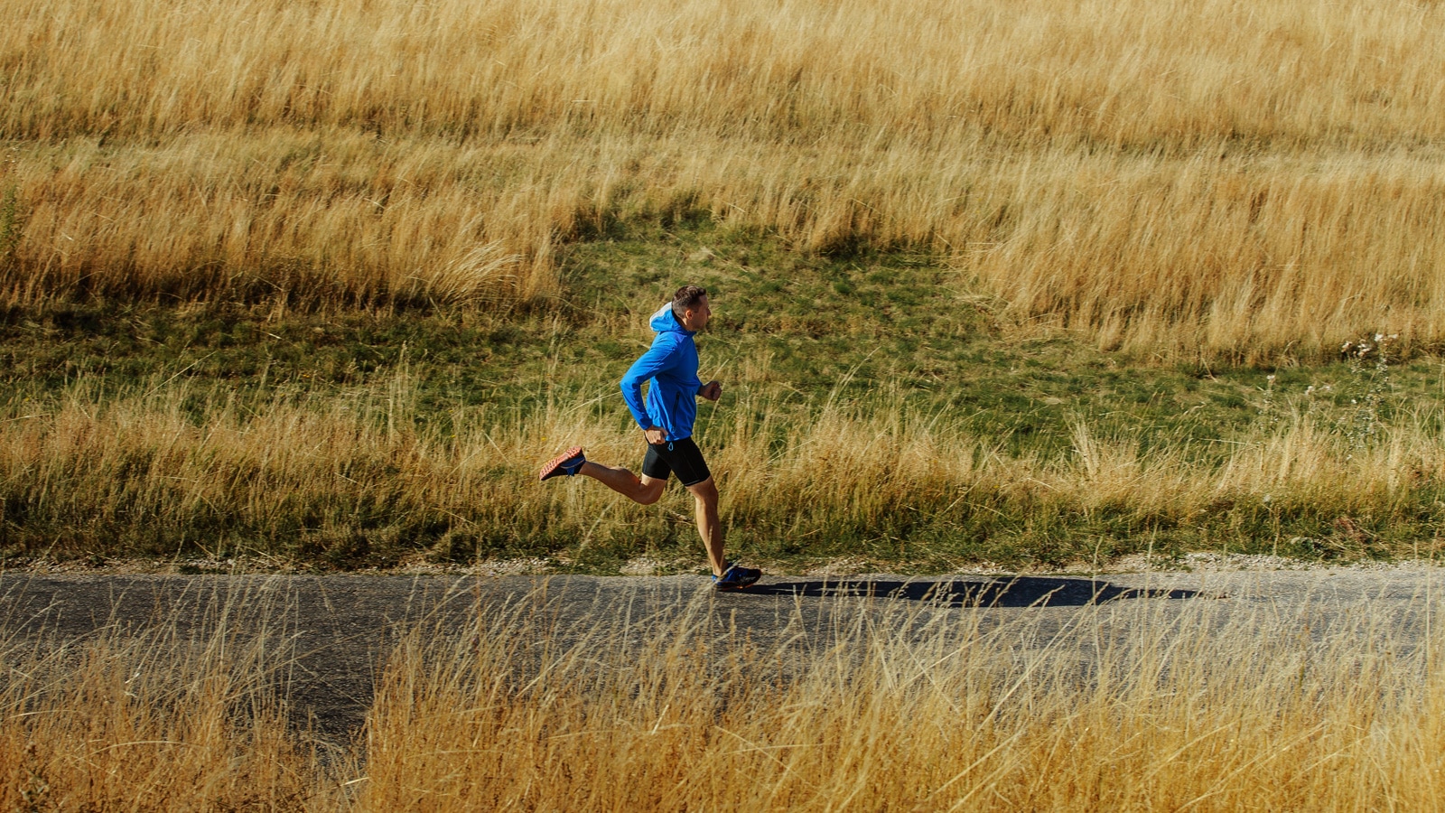 what is a tempo run