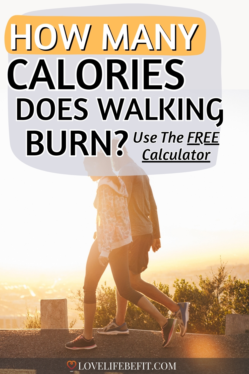 How many calories does walking burn