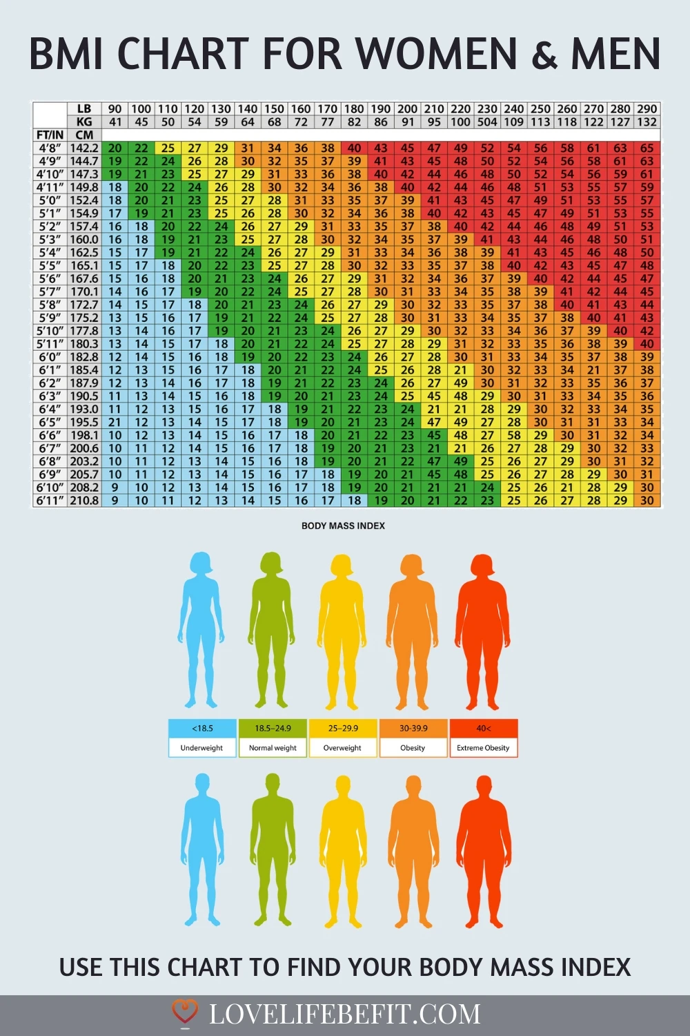 BMI Chart For Women & Men