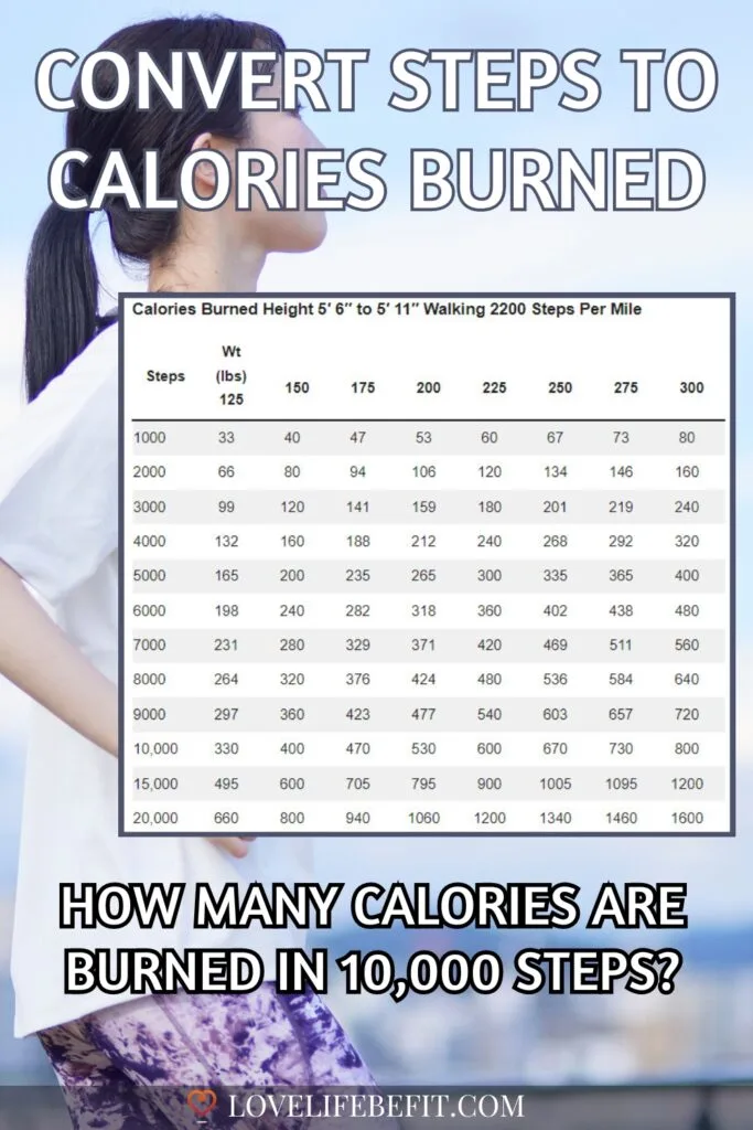 Steps To Calories Burned Converter