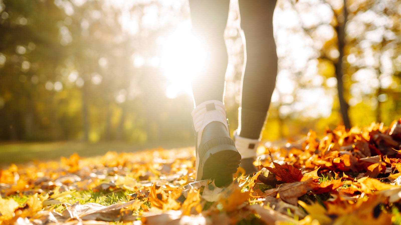 Image of a woman walking through autumn leaves