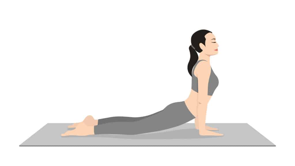 Upward Facing Dog Pose