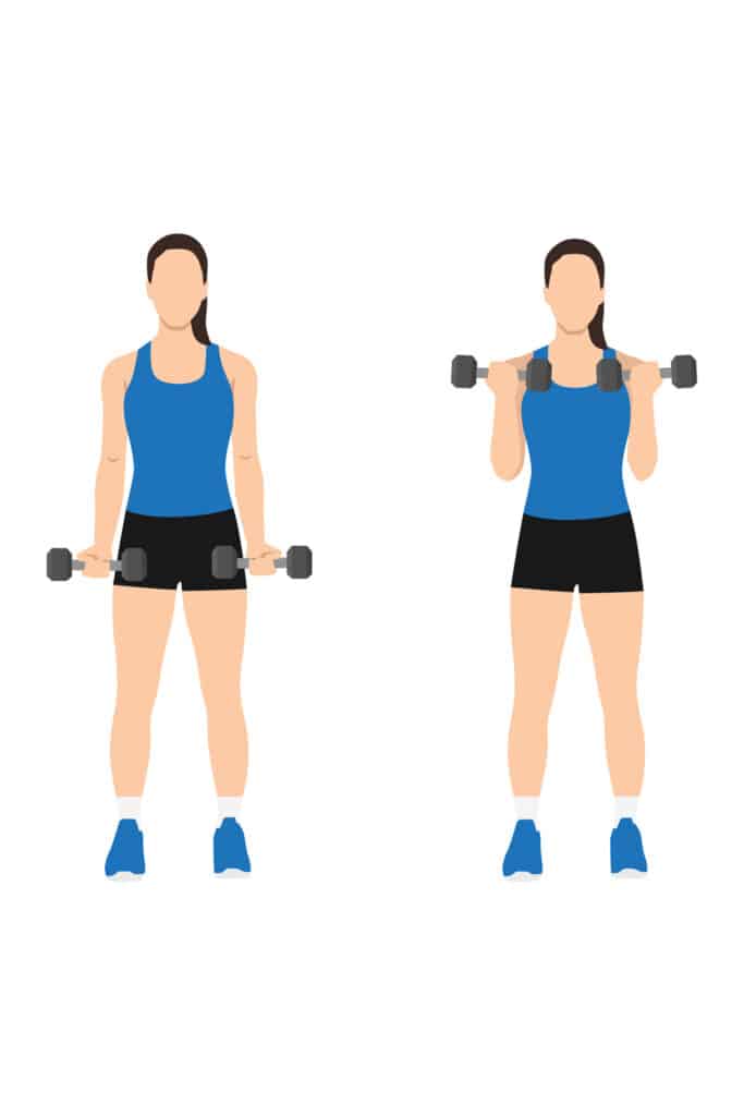 Illustration of bicep curls